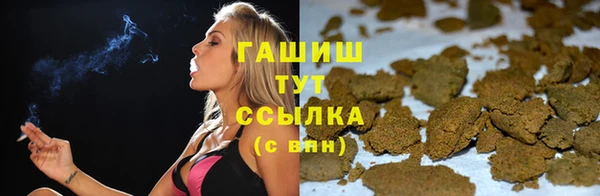 прущие грибы Арсеньев