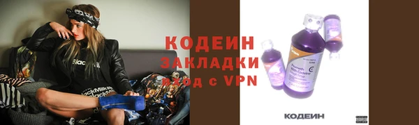 ГАЛЛЮЦИНОГЕННЫЕ ГРИБЫ Покровск