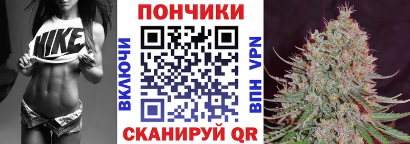 Бошки Шишки гибрид  даркнет сайт  OMG вход  Кудрово 